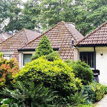 Ervaar Vredige Rust In Deze Charmante Knusse Bungalow Posterholt 외부 사진
